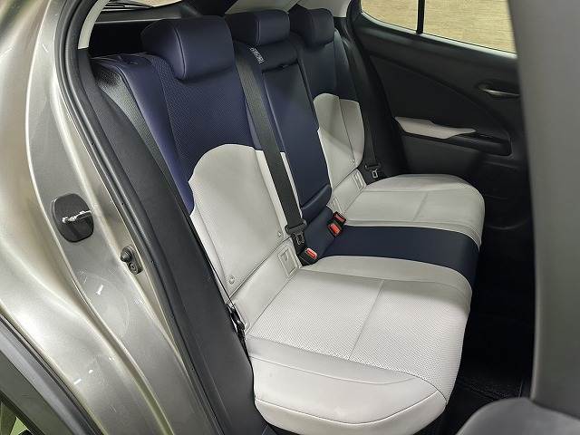 Lexus UX 12