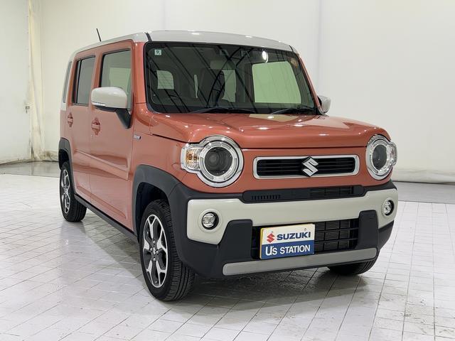 Suzuki Hustler 7