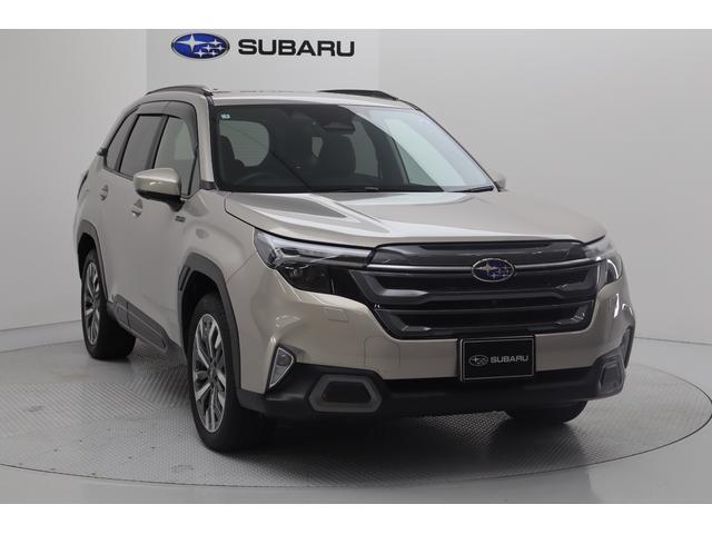 Subaru Forester 12