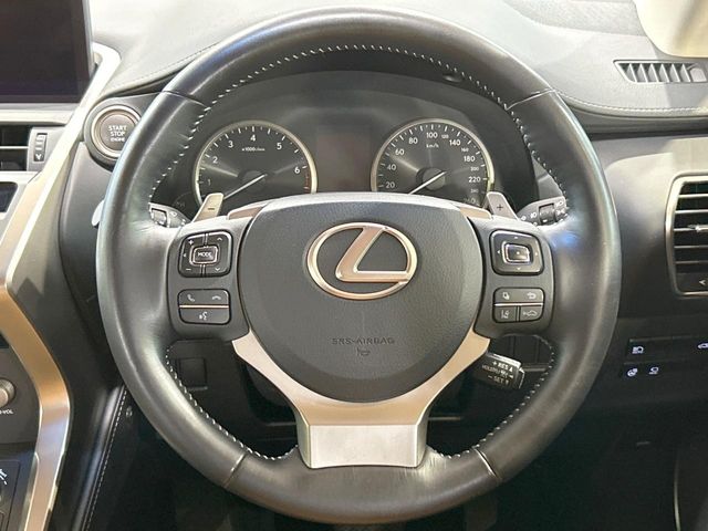 Lexus NX 11