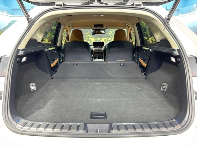 Lexus NX 10