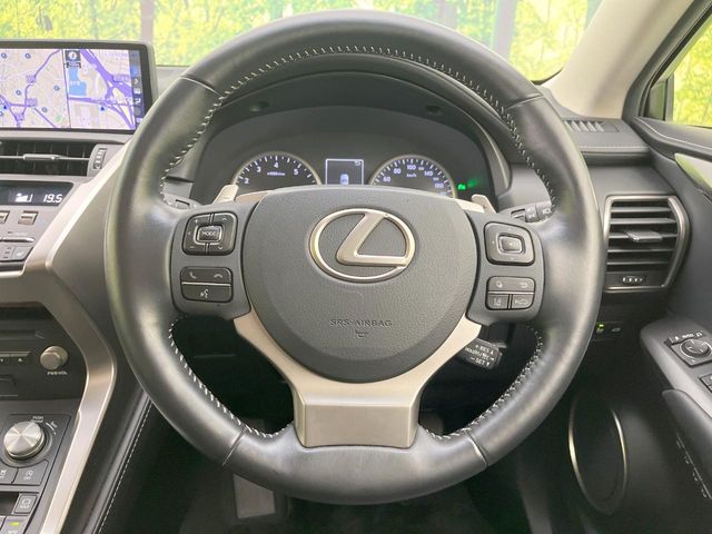 Lexus NX 11