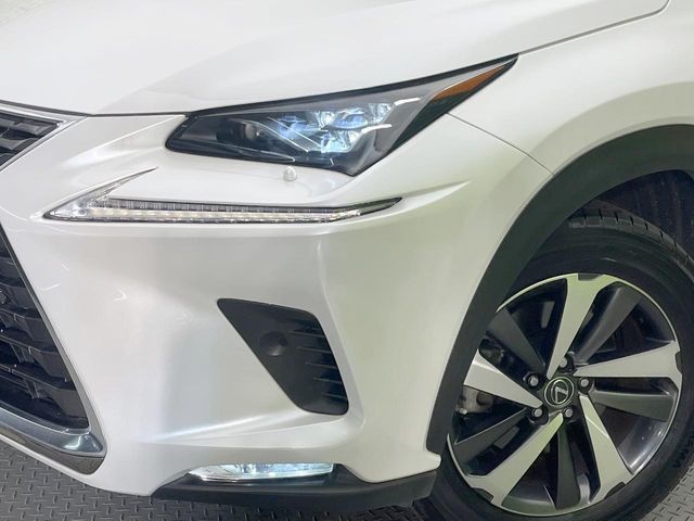 Lexus NX 12