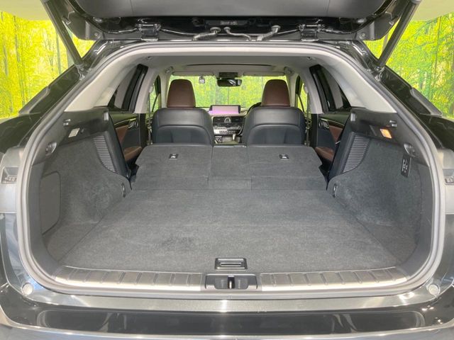 Lexus RX 10