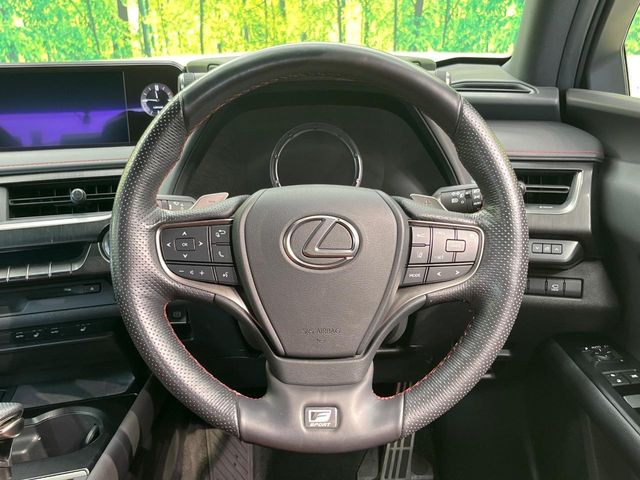 Lexus UX 11