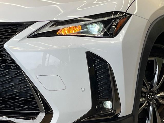 Lexus UX 12