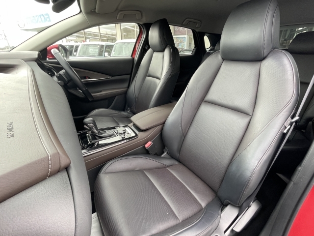 Mazda CX-30 9