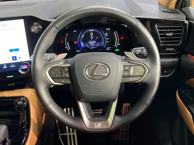 Lexus NX 11