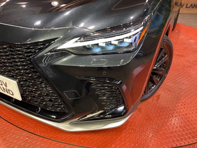 Lexus NX 12