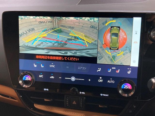 Lexus NX 6