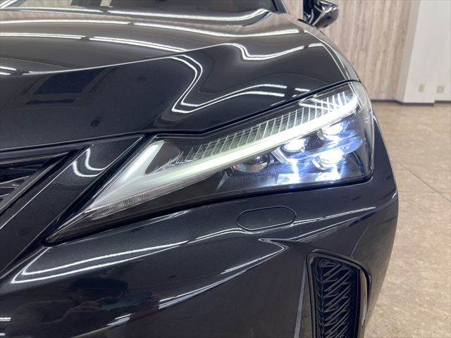 Lexus UX 11
