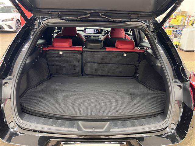 Lexus UX 9
