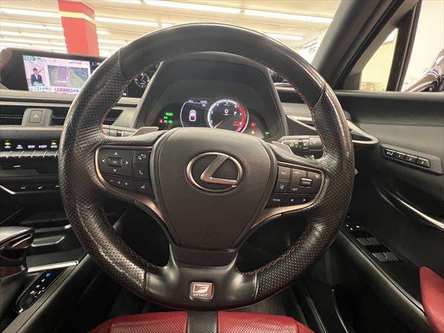 Lexus UX 10