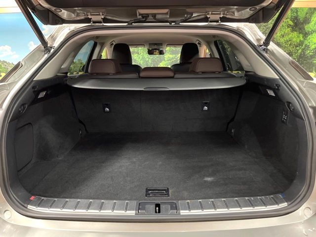 Lexus RX 11
