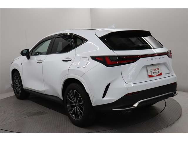 Lexus NX 7