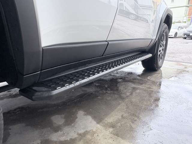 Toyota Land Cruiser 250 7