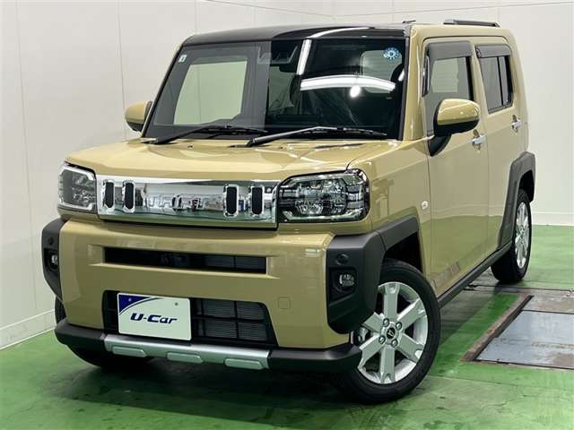 Daihatsu Taft 11