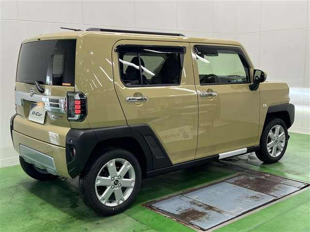 Daihatsu Taft 12
