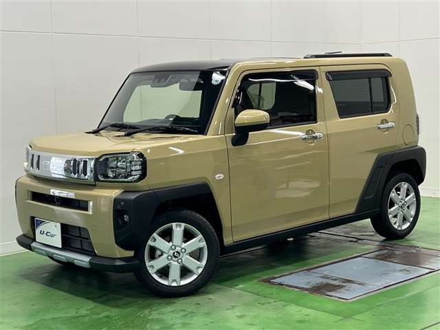 Daihatsu Taft 10
