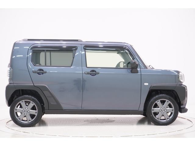 Daihatsu Taft 6
