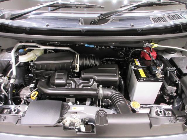 Daihatsu Taft 10