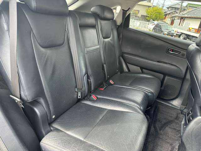 Lexus RX Hybrid 7