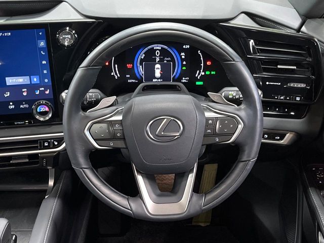 Lexus RX 11