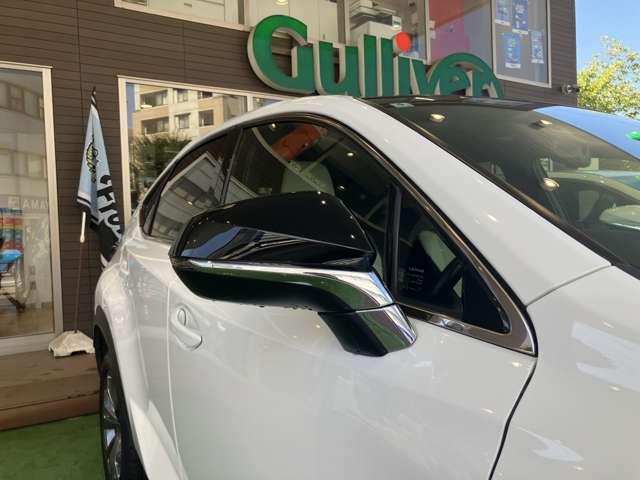 Lexus NX 11