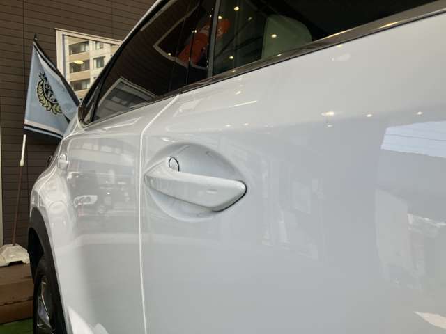 Lexus NX 12