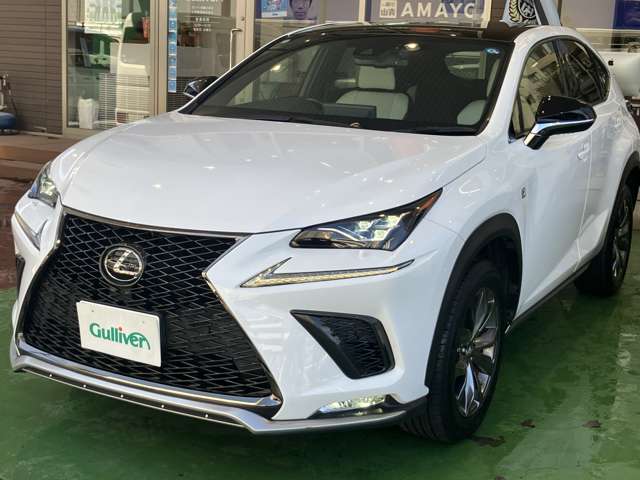 Lexus NX 6