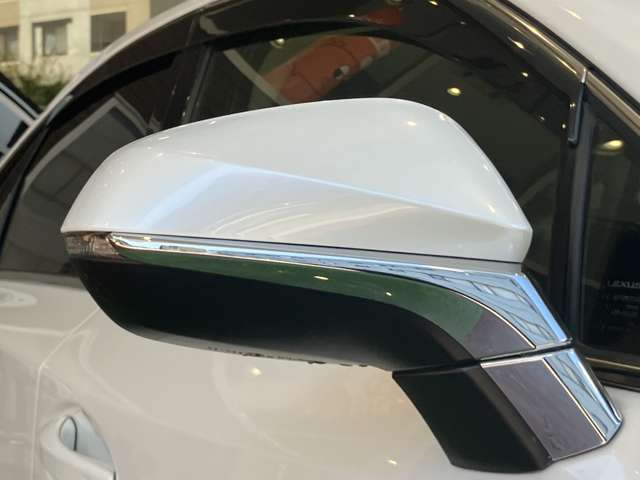 Lexus NX 11