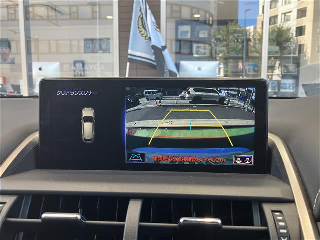 Lexus NX 4