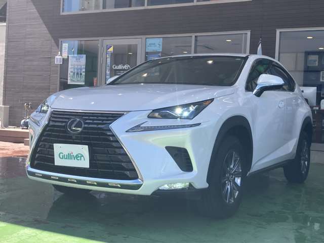 Lexus NX 6