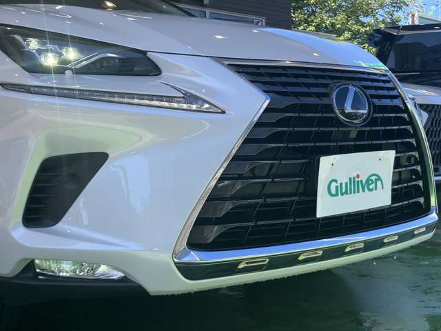 Lexus NX 8