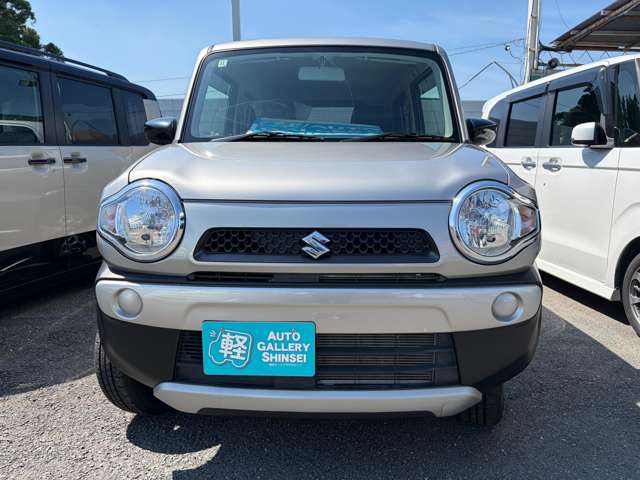Suzuki Hustler 8