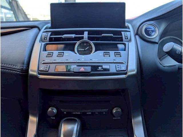Lexus NX 12