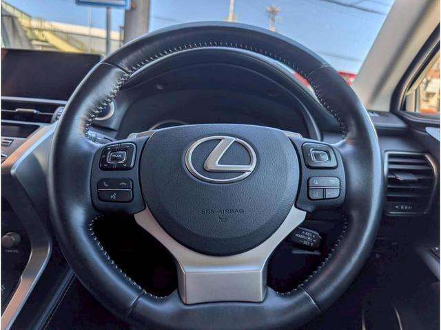 Lexus NX 6
