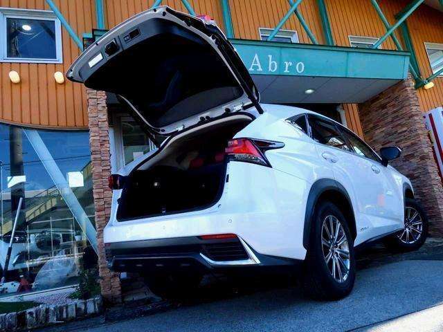 Lexus NX 9