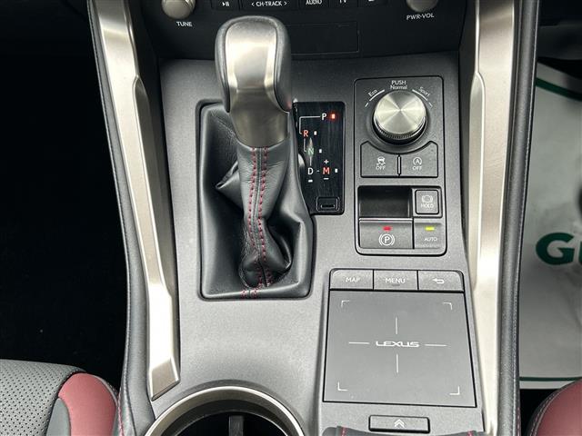 Lexus NX 11