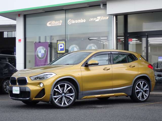 BMW X2 7