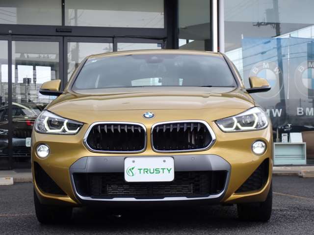 BMW X2 9