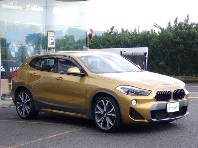 BMW X2 10