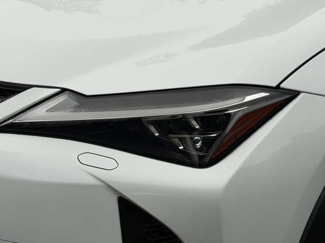 Lexus UX 8