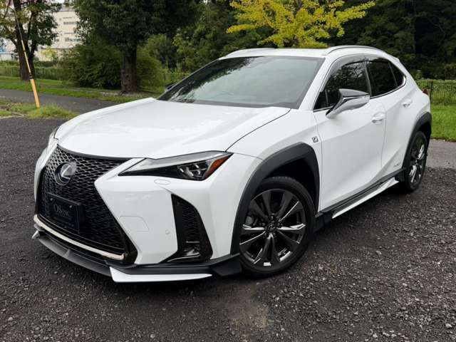 Lexus UX 9
