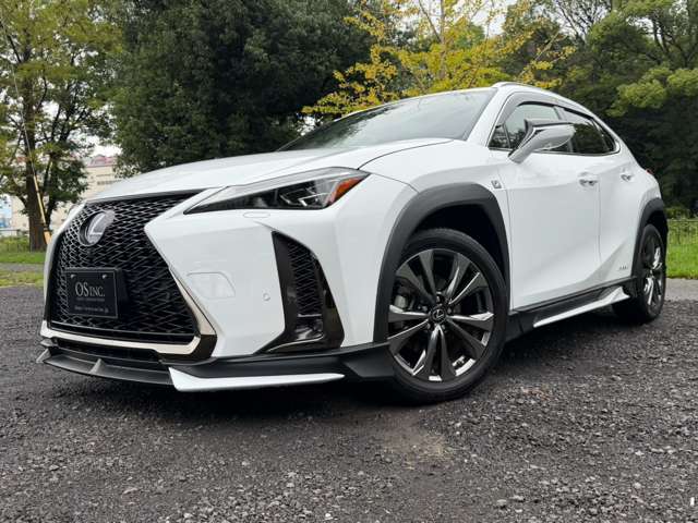 Lexus UX 10