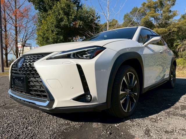 Lexus UX 12