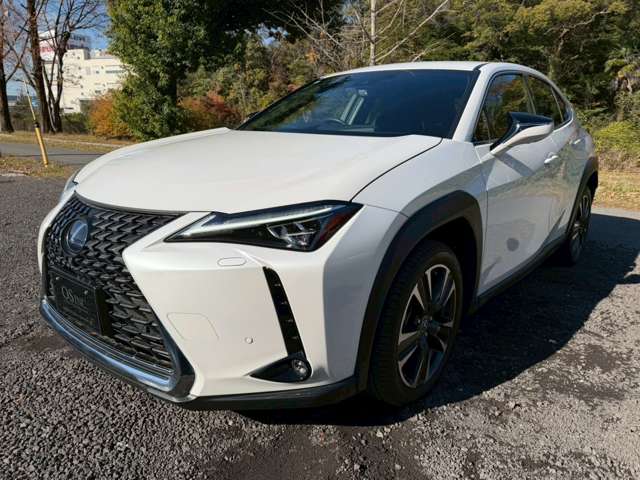 Lexus UX 9