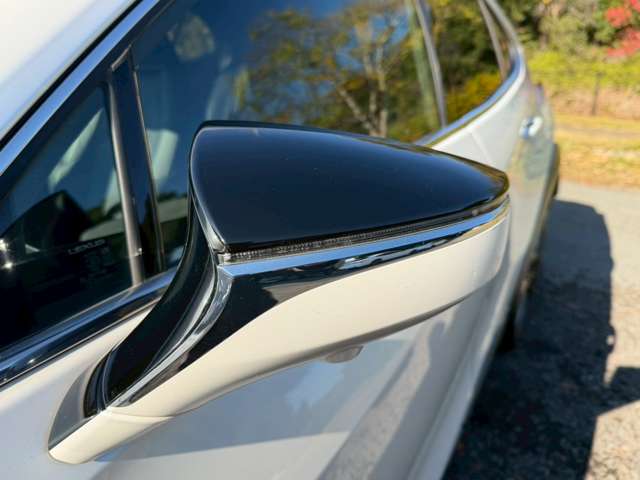 Lexus UX 10