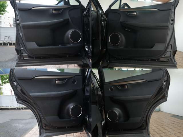 Lexus NX 4