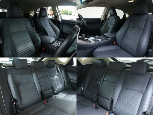 Lexus NX 6
